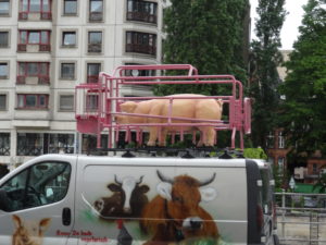 This plastic pig in a cage on top of a van also brought a smile to our faces. Not sure what this is all about :)