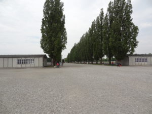 The main road through the center of the camp. 17 barrack blocks used to stand on either side of the road.